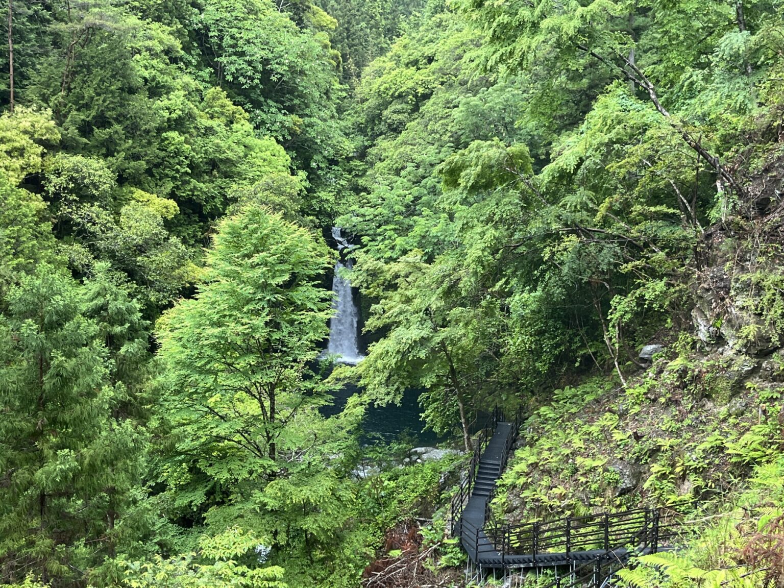 【にこ淵・高知】雨のにこ淵とモヤに包まれる幻想的な仁淀川 