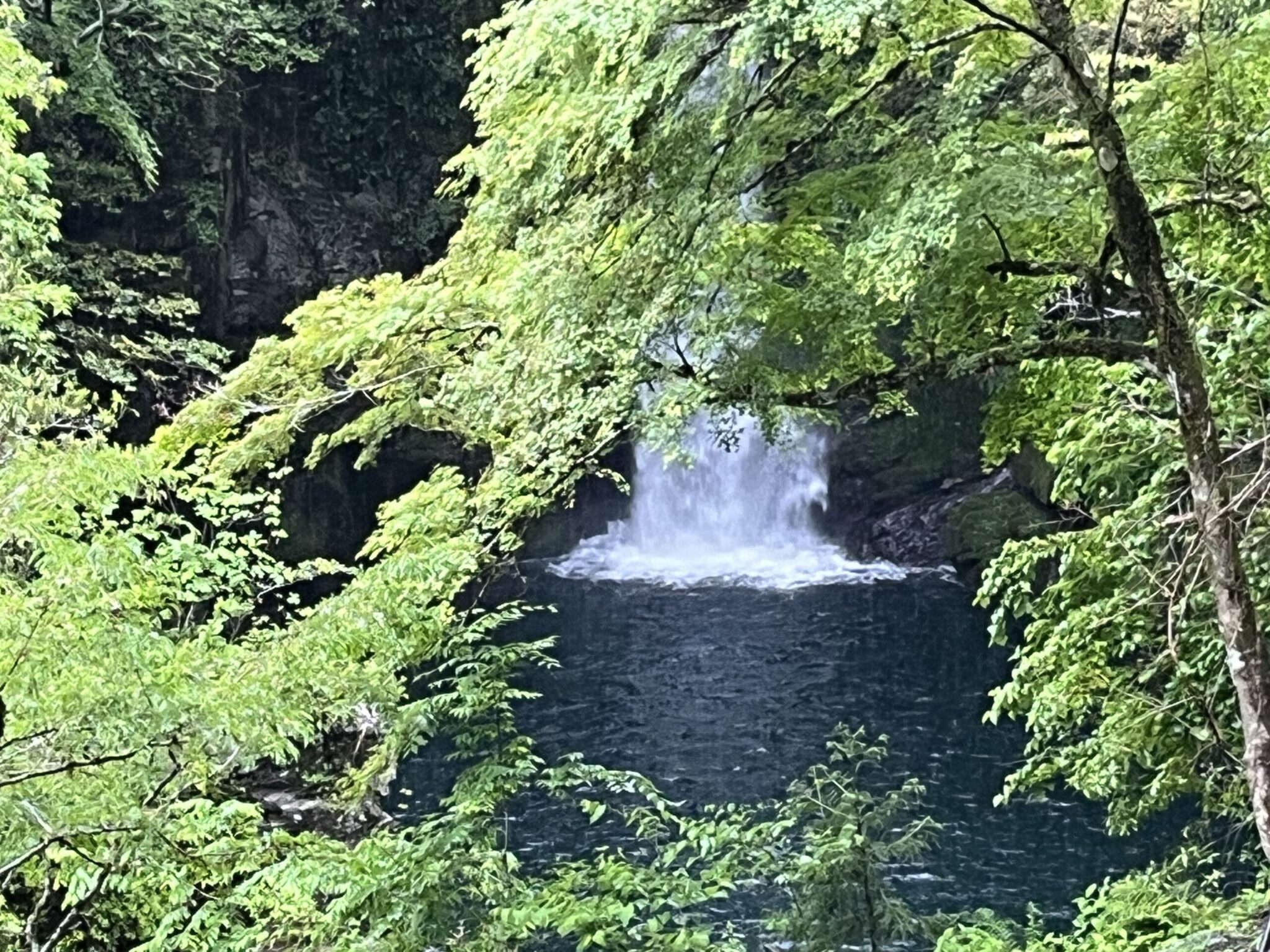 【にこ淵・高知】雨のにこ淵とモヤに包まれる幻想的な仁淀川 