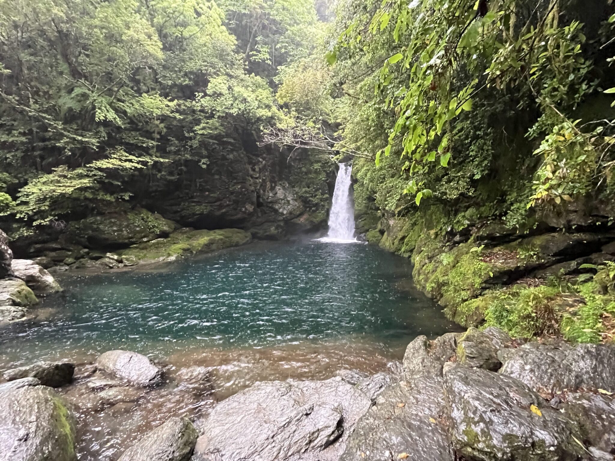 【にこ淵・高知】雨のにこ淵とモヤに包まれる幻想的な仁淀川 