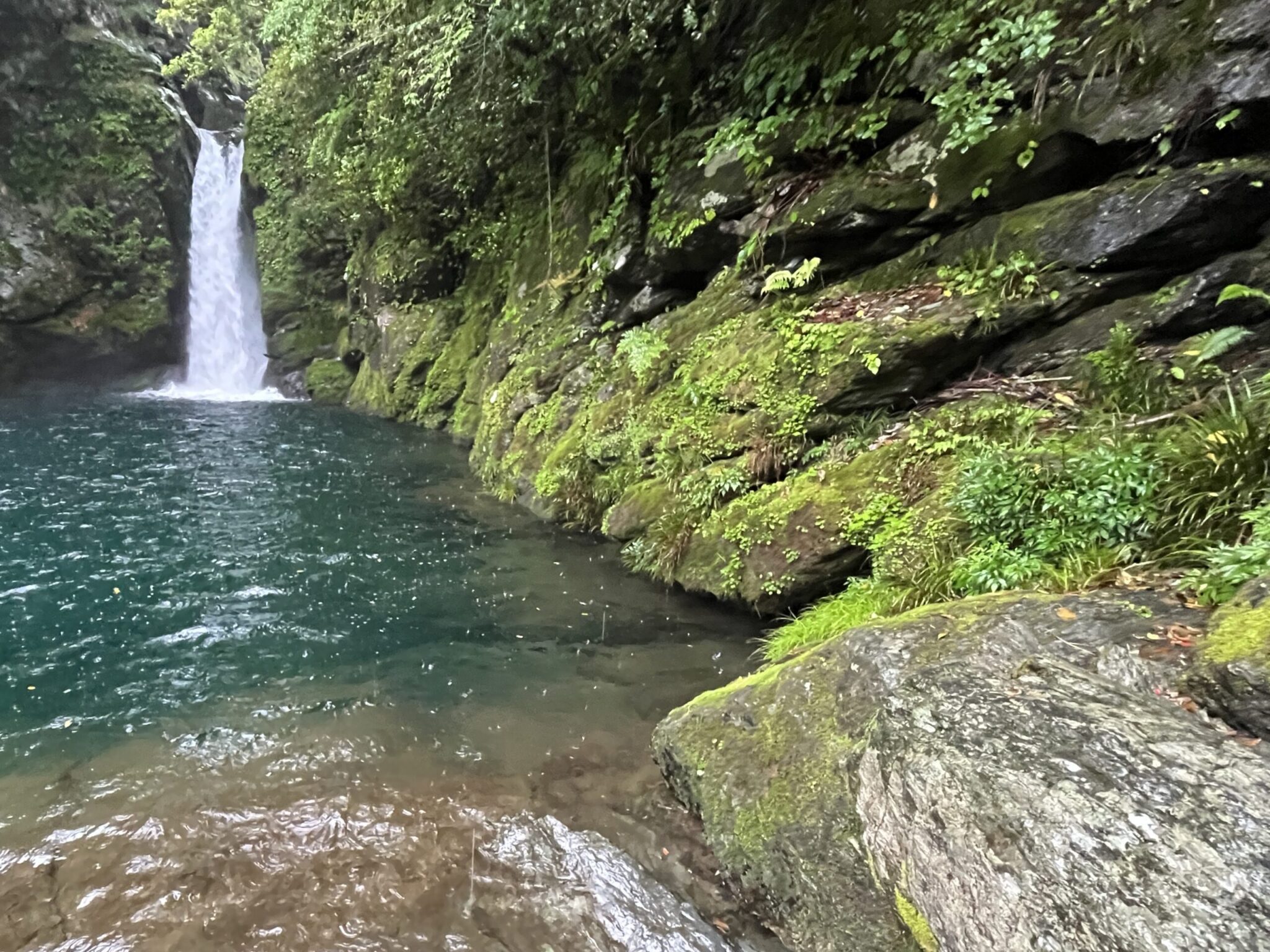 【にこ淵・高知】雨のにこ淵とモヤに包まれる幻想的な仁淀川 