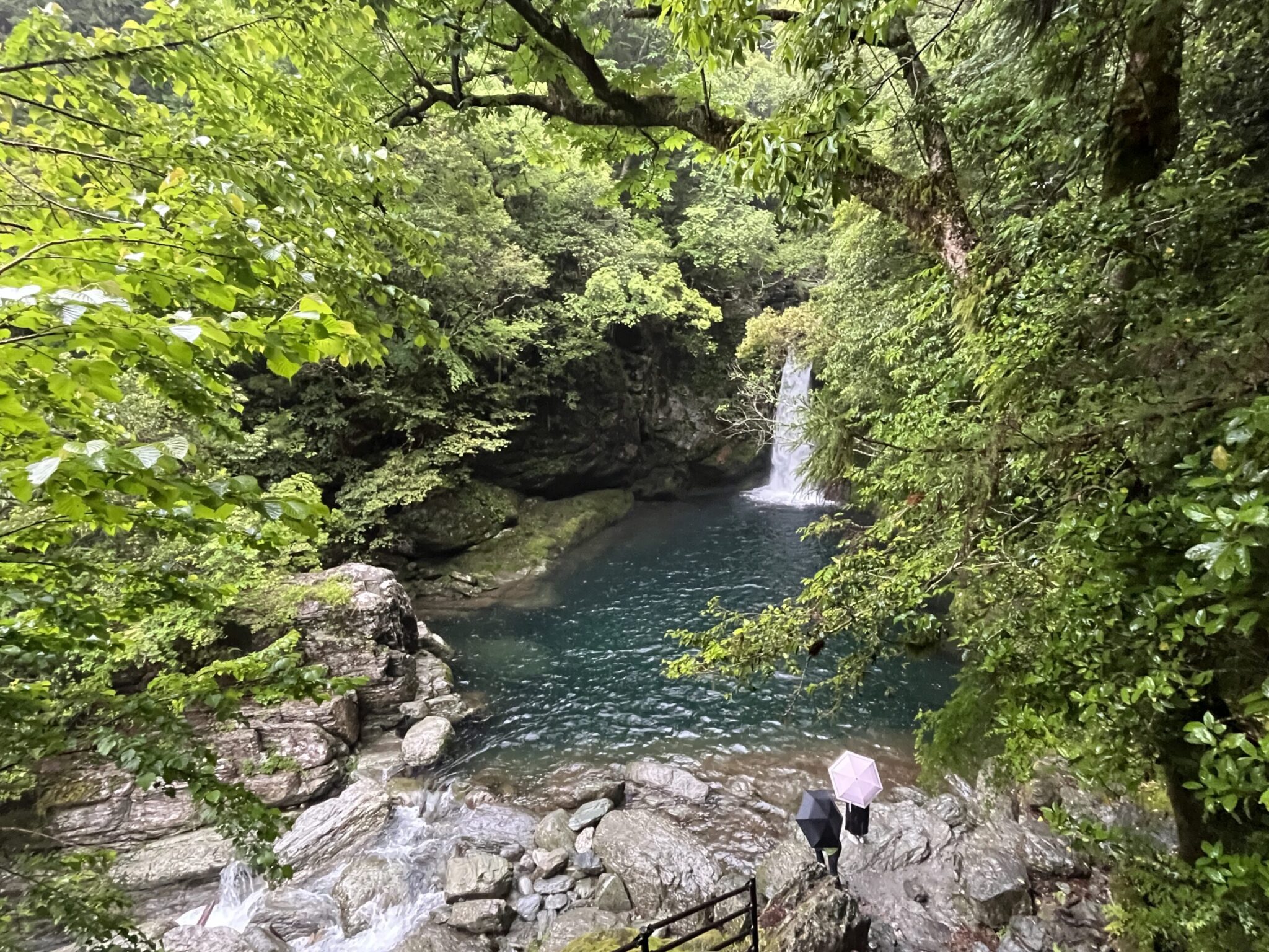 【にこ淵・高知】雨のにこ淵とモヤに包まれる幻想的な仁淀川 