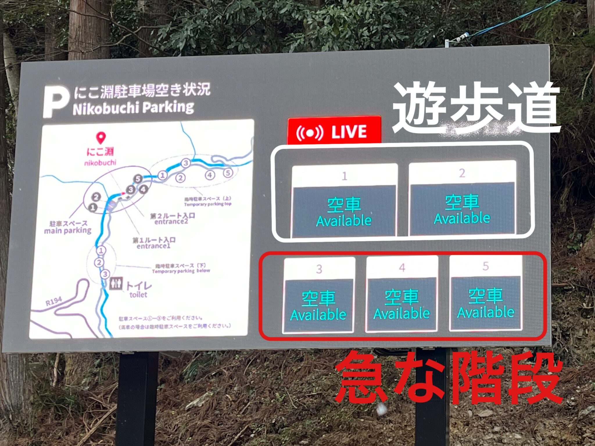 にこ淵 アクセス 駐車場 遊歩道